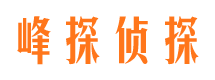 辰溪市婚外情调查